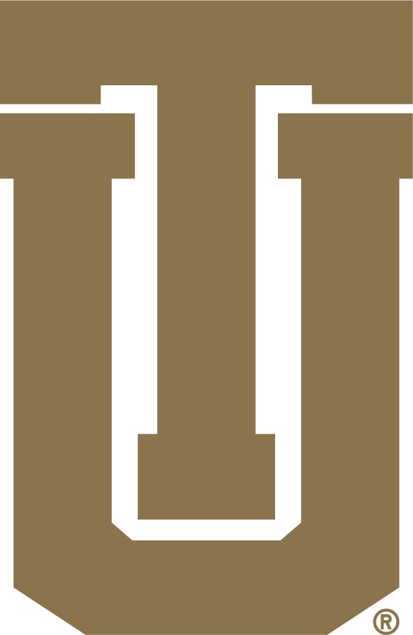 Tulsa Golden Hurricane 1992-2014 Secondary Logo iron on transfers for clothing